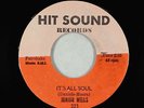 Northern Soul 45 - Junior Wells - It's All Soul - Hit Sound - VG+