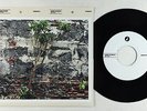 Latin Funk 45 - Dept Of Edu - Barrio Outreach/Cuban Studies - 2015 release VG++
