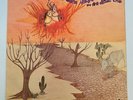 Eduardo Araujo E Silvinha - Sou Filho Desse Chao Original LP Brazil Funk Psych