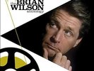 Brian Wilson - Playback  The  Anthology - New Vinyl Record - D6997z