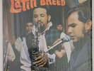 The Latin Breed 