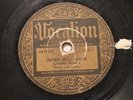 BLUES CHARLIE PATTON Jersey Bull Blues / Love My Stuff VOCALION 02782 FILLER