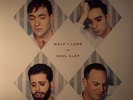 WOLF & LAMB vs SOUL CLAP/VARIOUS - DJ Kicks - Vinyl (gatefold 2xLP)