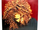 From Japan Jackson / The Velvet Rope  1997 Original UK Vinyl 2LP NM/EX