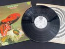 GENTLE GIANT Octopus VERTIGO SWIRL UK 1ST PRESS  PROG PSYCH EX+ AUDIO