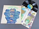 Ultimate Spinach Self-Titled MGM LP VG+ stereo VG+ gatefold cover 1968