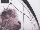 Pearl Jam - Vs. Vinyl Edition Remastered (1993 - EU - Reissue)