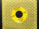 The Remains Original Classic Epic Garage 45rpm 