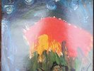 Rare Original Meat Puppets II - 1984 SST - NM Vinyl - Arizona Group