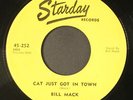 BILL MACK: cat just got in town STARDAY 7