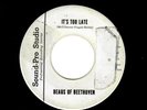 GARAGE-BEAUS OF BEETHOVEN-IT'S TOO LATEGOIN' AWAY-SOUND PRO STUDIO 1015
