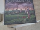 Megadeth - Youthanasia vinyl record from 1994 limited edition blue vinyl