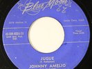 JOHNNY AMELIO: jugue / downbeat's BLUE MOON 7