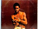 Al Green - Greatest Hits 1975 Vinyl Hi Records 1st Press