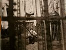 Paul Mc Cartnet Chaos and Creation in the Backyard 2005 Like NEW