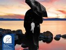 Mike and The Mechanics Living Years (Vinyl) 30th Anniversary  12