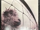 Pearl Jam - Vs. - Vinyl LP 1993 OG- Epic Z 53136