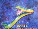 Axel Rudi Pell Nasty Reputation NEAR MINT Steamhammer Vinyl LP