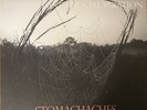Frank Iero And The Cellabration - Stomachaches White Vinyl Record [WH48] (MCR)