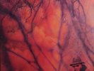 Schoolboy Q ‎– Blank Face LP ORANGE GATEFOLD RARE VINYL BRAND NEW SEALED