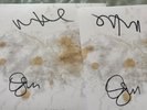 Longlegs Soundtrack Vinyl LP 7