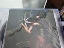 Ragnarok Online Vinyl Not Moonshake