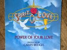 Spirit Of Love - The Power Of Your Love LP 1978  Birthright gospel PLEASE READ