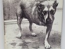 ALICE IN CHAINS 1995 Self Titled 1st Press 2LPs Columbia C2 67248 NM Precision