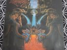 DISMEMBER Like An Ever Flowing Stream LP 1991 INSERT DEATH METAL