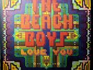 BEACH BOYS: LOVE YOU 12