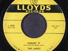 LARKS: forget it / os-ca-lu-ski-o LLOYDS 7
