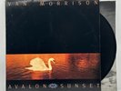 Van Morrison - Avalon Sunset - 1989 US 1st Press Album (EX/NM) Ultrasonic Clean