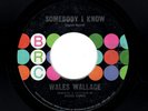 MODERN SOUL-WALES WALLACE-SOMEBODY I KNOW/TALK A LITTLE LOUDER-BRC 101