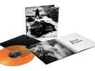 David Gilmour - Luck and Strange - Album Vinyle Orange Transparent