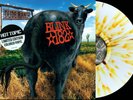 BLINK 182 Dude Ranch LP CLEAR BROWN SPLATTER Color SEALED Vinyl NOFX Green Day