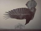 KATATONIA FALL OF HEARTS [LP] [BONUS TRACK] NEW VINYL