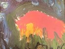 Meat Puppets II 2 1990 Rare Album