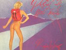 Roger Waters - The Pros And Cons Of Hitch Hiking (LP, Album, Unc) (1984) [Used V