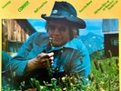 C.W. McCall C.W. McCalls Greatest Hits CRC NEAR MINT Polydor Vinyl LP