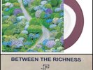 FIDDLEHEAD Between The Richness LP Vinyl 1st SEALED-Basement One Step Closer RBK