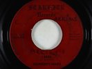 Garage 45 - Shepherd's Heard - I Know - Starlite - rare Ohio killer