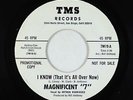 Garage 45 - Magnificent 7 - I Know (That It's All Over Now) - TMS VG++ obscure