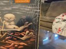 Chocolate Starfish and the Hot Dog Flavored Water by Limp Bizkit Vinyl OG First