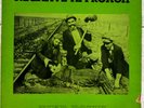 Negative Approach - Tied Down - 1983 - RARE ORIGINAL LP w/Insert
