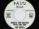 Doo-Wop R&B 45 - Ideals - What's The Matter With You Sam/Together - Paso - VG+