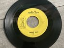 Swamp Rats It's Not Easy / In The Midnight Hour 7” 45 RPM Garage Rock Pittsburgh