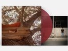 AUTOGRAPHED Waiting to Spill Red Vinyl  The Backseat Lovers Sealed and New