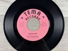 The Bittersweets Hurtin Kind / Summertime 45 RPM 7” Vinyl Tema Records