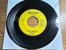 1966 GARAGE 45 THE RPM'S WHITE LIGHTNIN AMBASSADOR 214 EXCELLENT