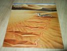 NAZARETH : SNAKES N LADDERS STILL SEALED LP +BÜGELBILD ( IRON ON ) 1989 VERTIGO